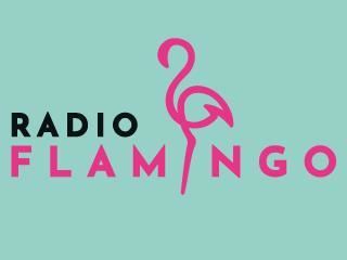 Slideshow Capture DAB Radio Flamingo