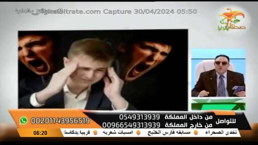 Capture Image STV AL Sahraa TV 11636 V