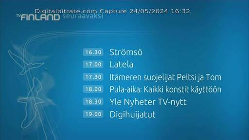 Capture Image TV Finland MUX2