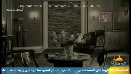 Capture Image Qudsuna TV 11372 H